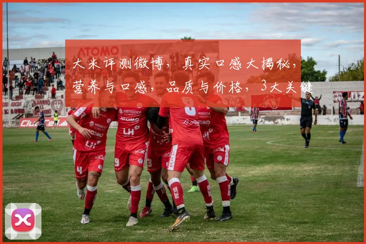 大米评测微博，真实口感大揭秘，营养与口感，品质与价格，3大关键点，不容错过